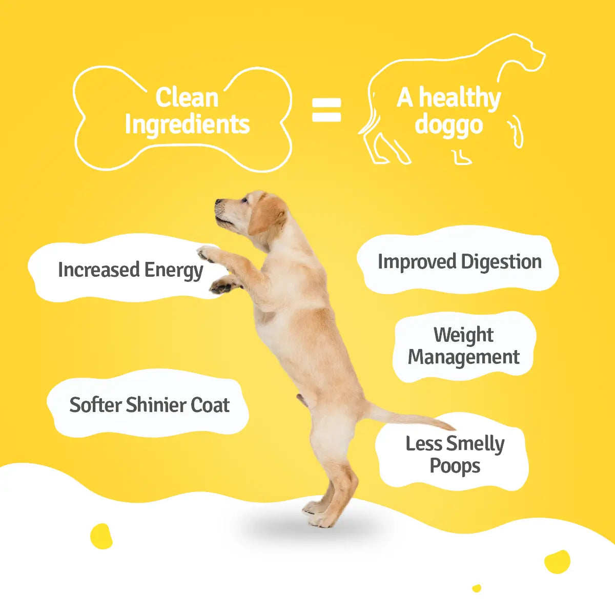 BLEP Chicken Zuke Dog Food - 100 GMs - Pack Of 3
