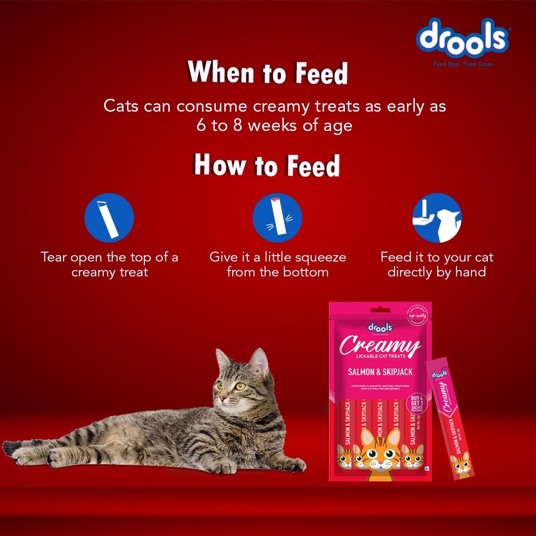 Drools All Life Stages Creamy Lickable Salmon & Skipjack Flavour Cat Treat, 75 Gms