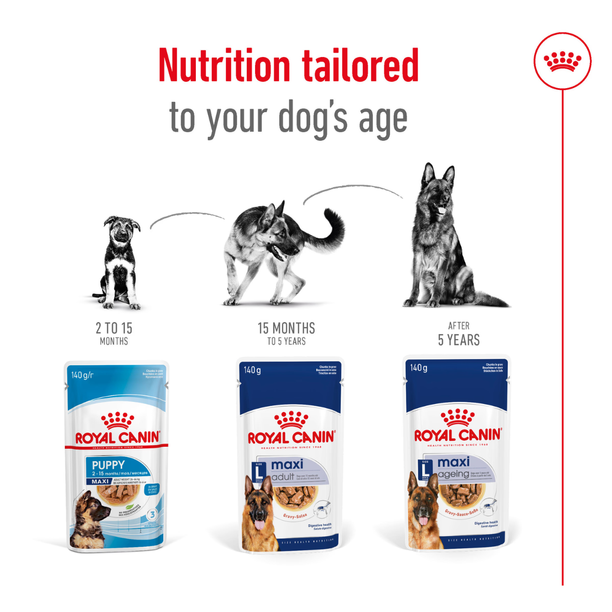 Royal Canin, Maxi Adult, Wet Gravy Pouch 1.4 Kg (140 GM X 10 U)