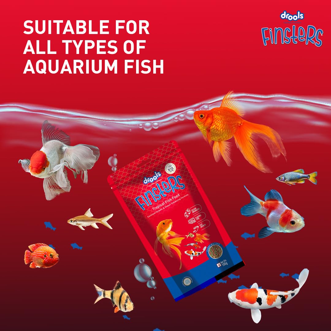 Drools Finsters Tropical Fish Food 1 MM 100 Gms Pack