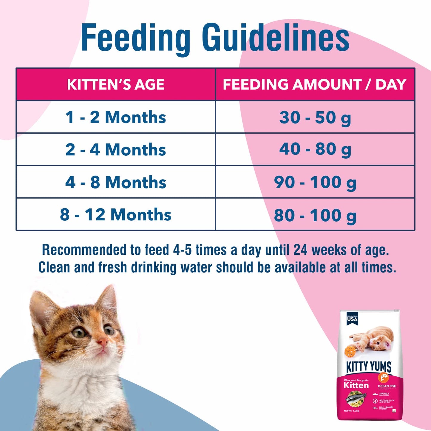 Kitty Yums Kitten (1-12 Months) Dry Cat Food, 1.2 KG Pack, Ocean Fish Flavour