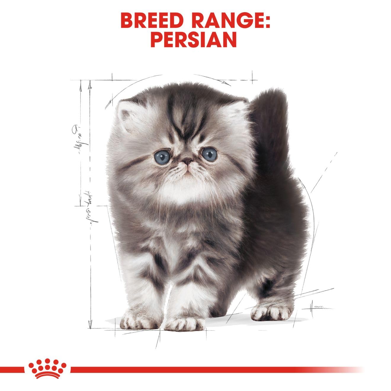 Royal Canin Persian Kitten Food, 1 Kg, Dry Food, Supports Long Hair