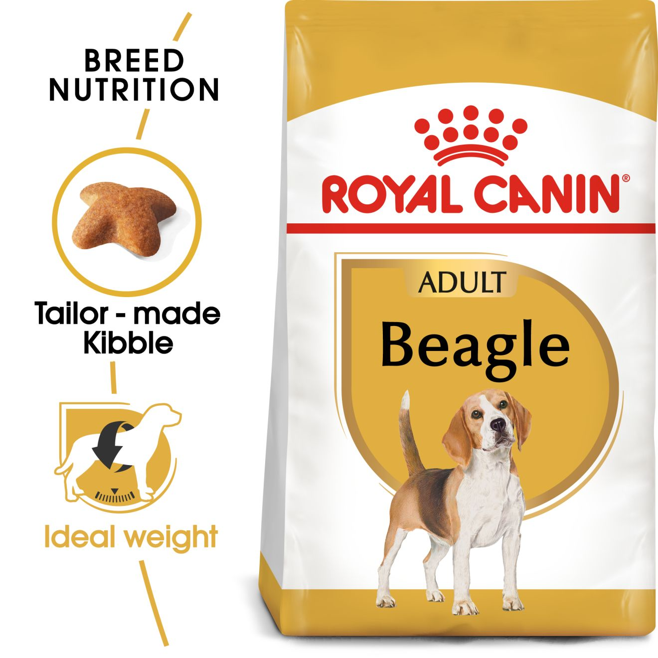 Royal Canin Beagle Adult Dry Dog Food, 1 KG Pack, Supports Ideal Weight
