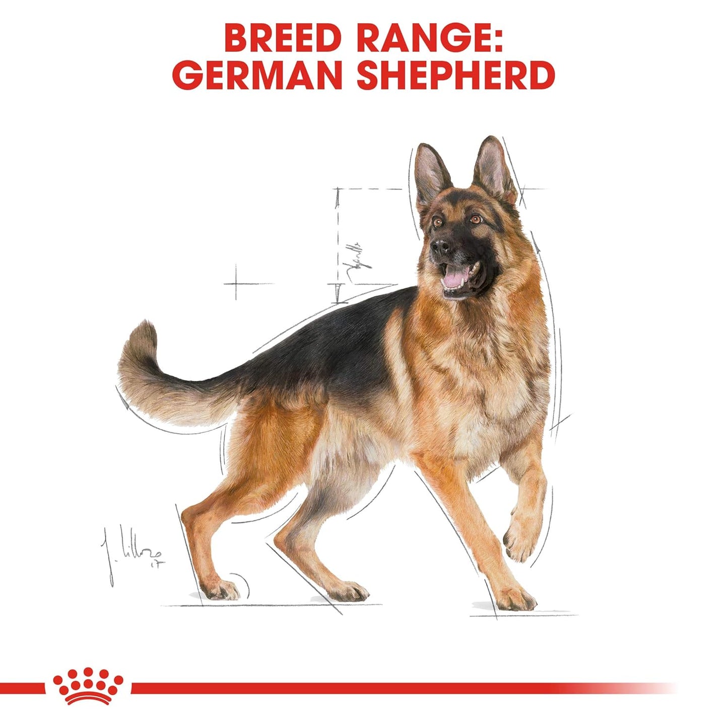 Royal Canin German Shepherd Adult Dog Food, 11 KG Pack, Promote Bone and Joint Health