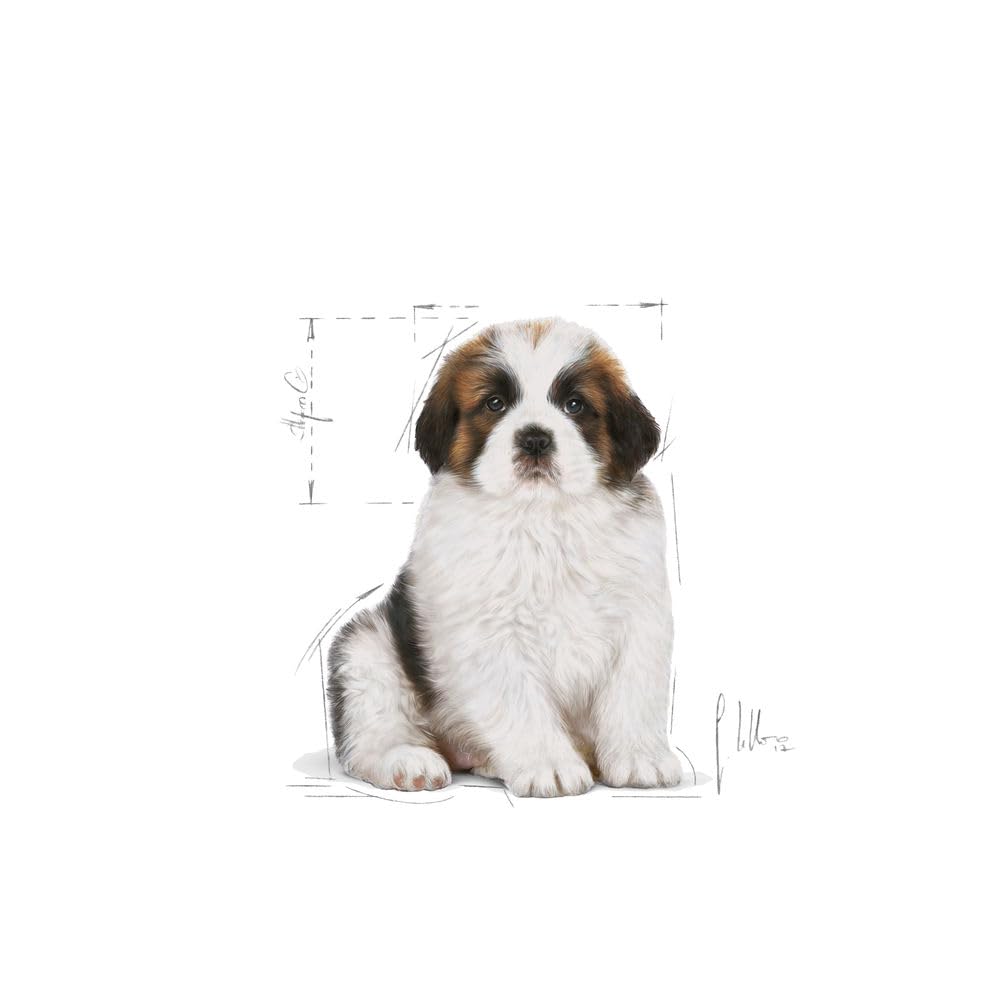 Royal Canin Giant Puppy Dog Dry Food, 15 KG Pack, Supports Immune System