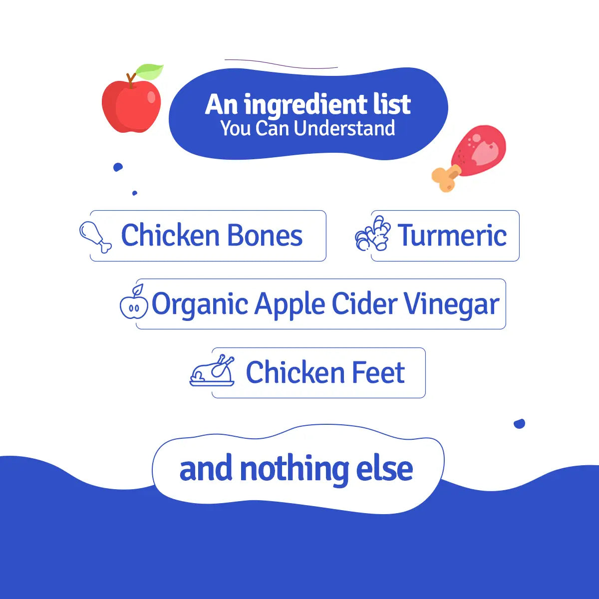 BLEP Chicken Broth - 100 ML - Pack Of 3
