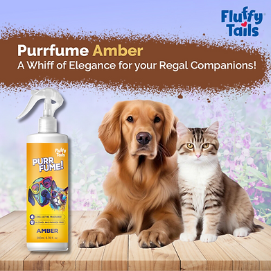 FluffyTails Purrfume, Amber Fragrance, 200 ML