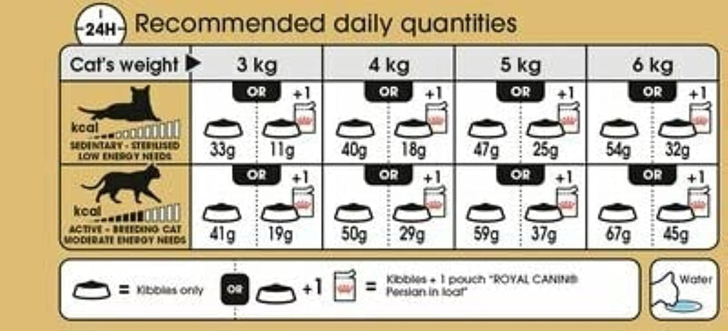 Royal Canin Persian Adult Cat Dry Food, 400 GMs Pack, Supports Long Hair, Reduce Hairball Transformation
