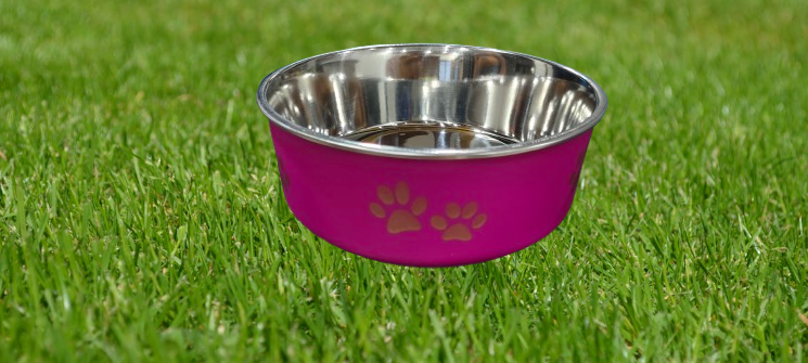 Fancy Stainless Steel Food / Water Pet Bowl,  with Non-Slip Base, 850 ML Capacity Suitable for Small Breeds