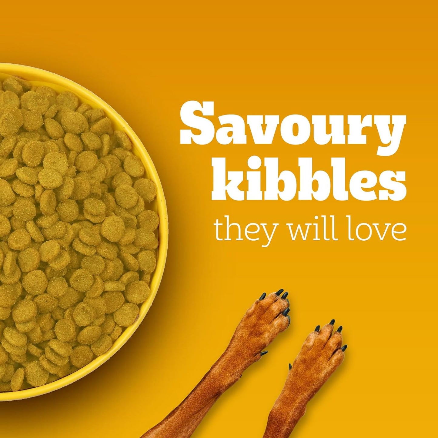 Pedigree Adult & Puppy Dry Dog Food, 100% Veg, 10 KG Pack, Contains 37 Essential Nutrients