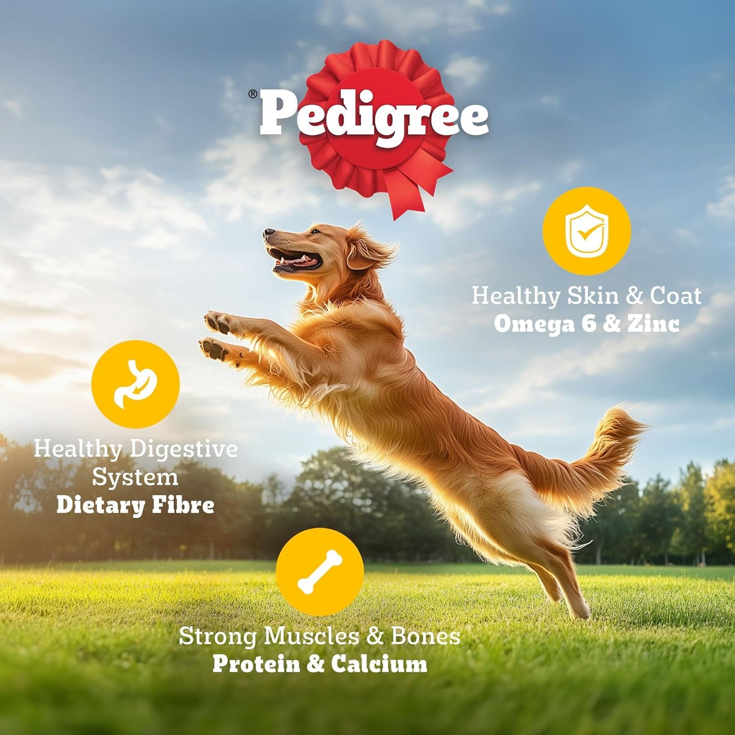 Pedigree Adult & Puppy Dry Dog Food, 100% Veg, 1 KG Pack, Contains 37 Essential Nutrients