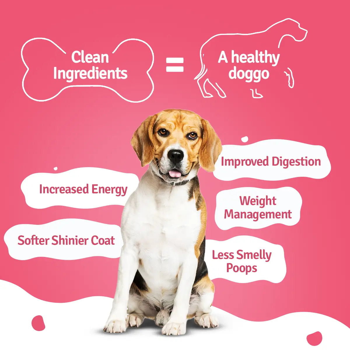 BLEP Chicken Broccoli Fresh Dog Food (100 ML) - Pack of 1