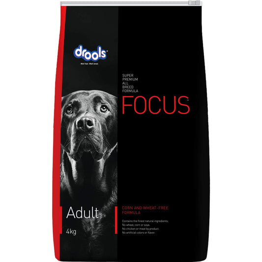 Drools Focus Adult Super Premium Dry Dog Food, 4 KG Pack, Chicken Flavour