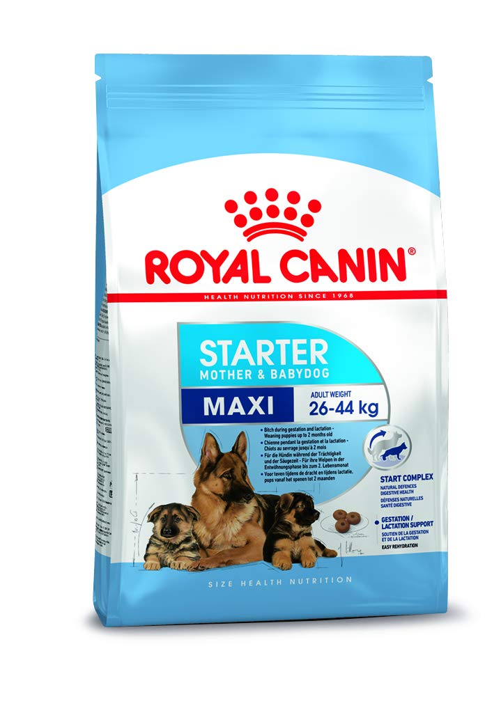Royal Canin, Maxi Starter Mother & Baby dog Food, 1 Kg, Dry Food