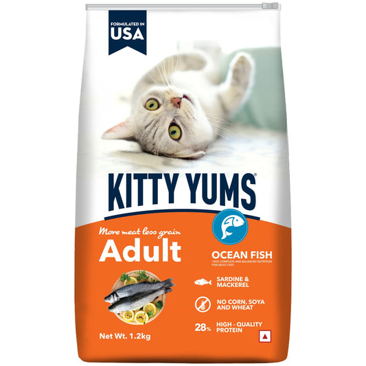 Kitty YUMS Adult (+1 Year) Dry Cat Food, 1.2 KG Pack, Ocean Fish Flavour
