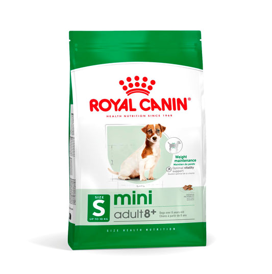 Royal Canin, Mini Adult Dry Dog Food for Senior Dogs (8+ Years), 4 kg