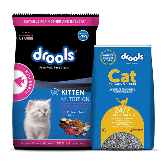 Drools Kitten Ocean Fish Flavour, Dry Cat Food, 7 KG Pack, Healthy Heart & Eye Sight