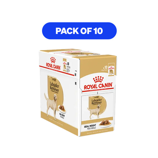Royal Canin Labrador Retriever Adult Dog Food, Wet Food Pack of 10 Sachet, 140Gm