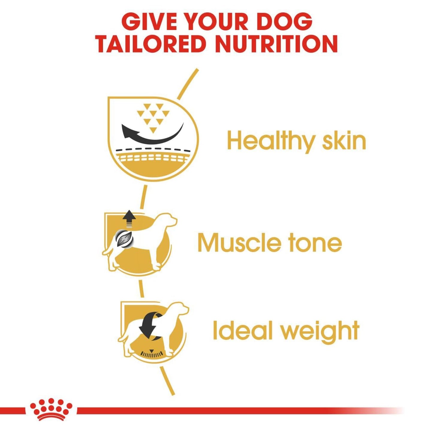 Royal Canin Pug Adult Dog Food, 1.5 Kg, Dry Food, Helps to Tone Muscles