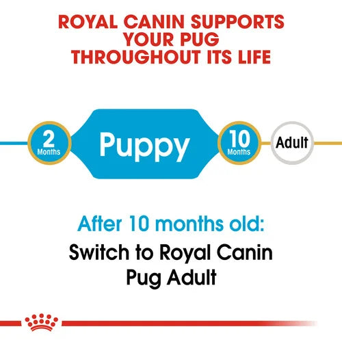Royal Canin, Pug Puppy, 500 GM, Dry Food
