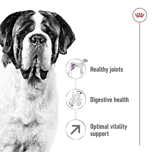 Royal Canin Giant Adult Dry Dog Food, 4 KG Pack, Supports Healthy Joint