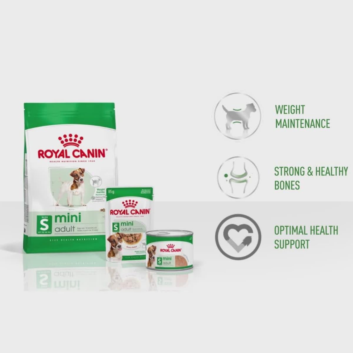 Royal Canin, Mini Adult Gravy Dog Food, 85 Grams, Pack of 12 Sachet