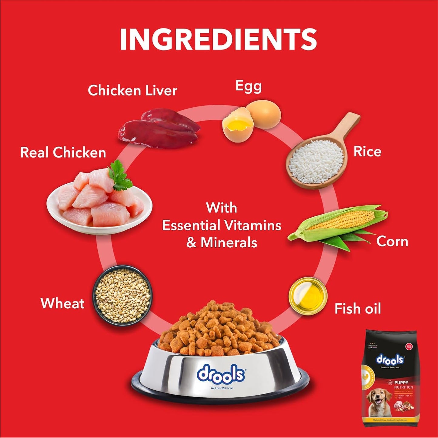 Drools Daily Nutrition Puppy Chicken and Egg Flavour Dry Dog Food, 1.2 KG Pack