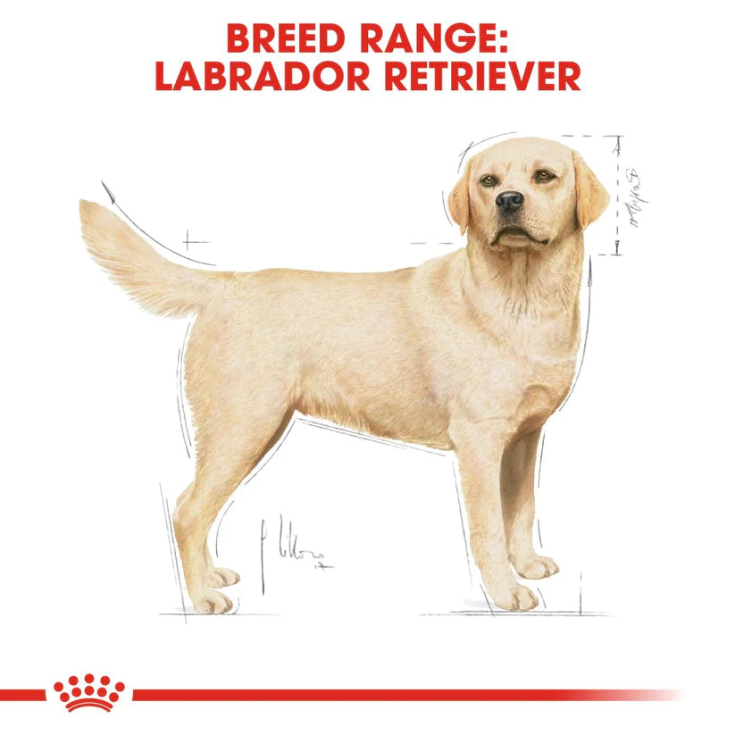 Royal Canin Labrador Retriever Adult Food, 1.2 Kg, Dry Food, Cardiac Function