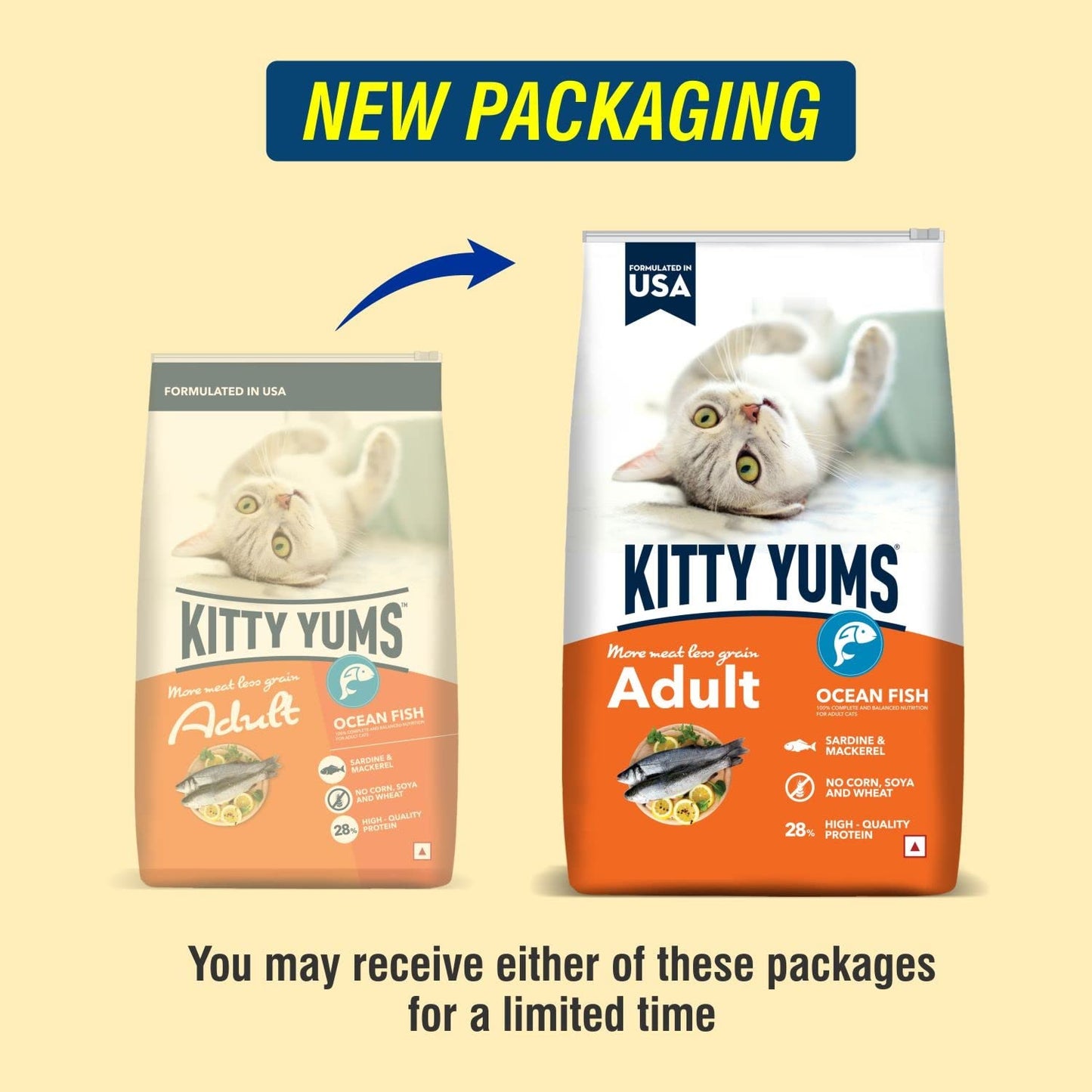 Kitty YUMS Adult (+1 Year) Dry Cat Food, 1.2 KG Pack, Ocean Fish Flavour