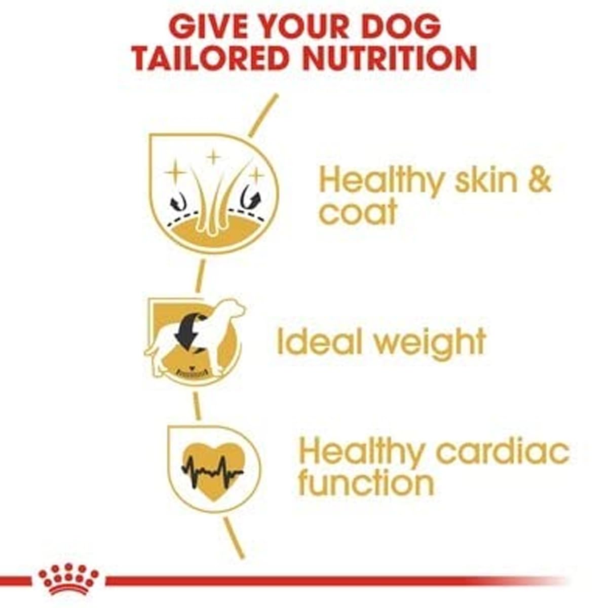 Royal Canin Cocker Adult Dog Food, 3 KG Pack