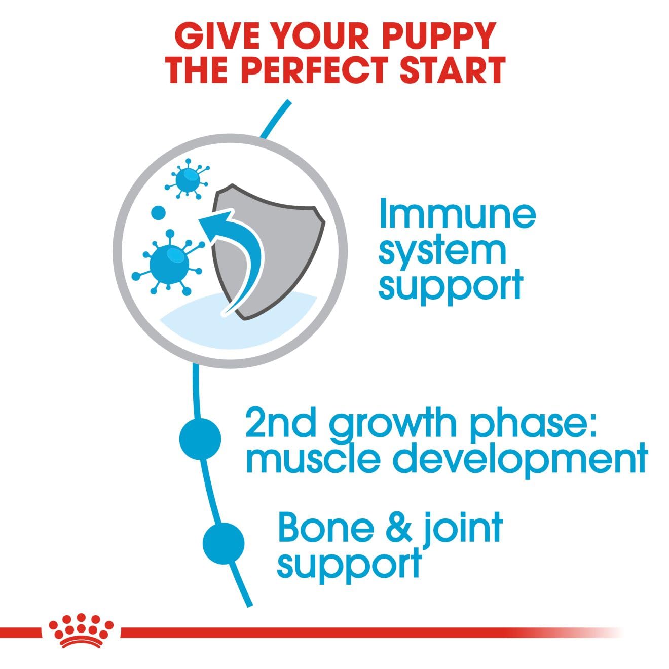 Royal Canin Giant Junior Dog Dry Food, 15 KG Pack, Supports Immune System