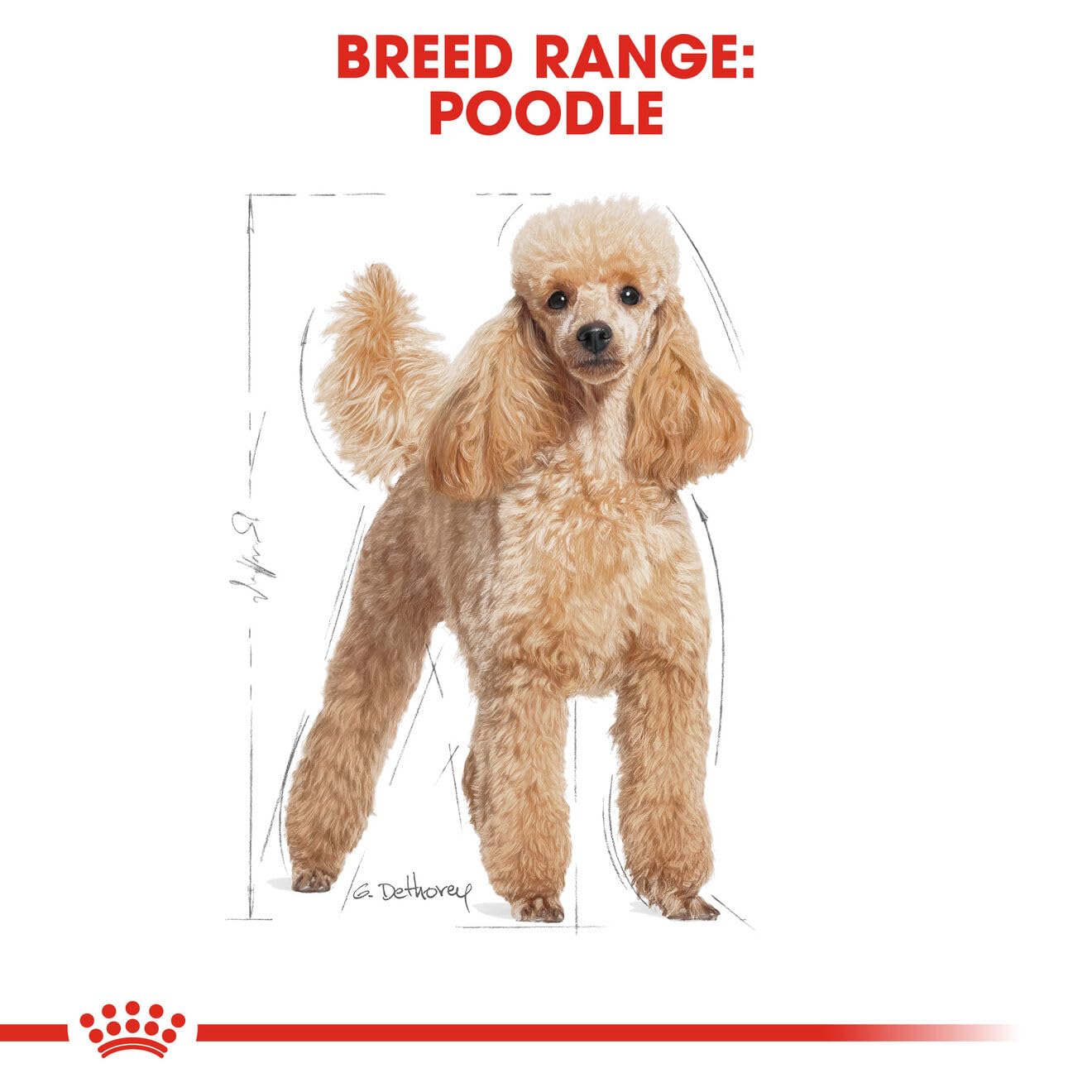 Royal Canin, Poodle Adult Dog Food, 3 KG, Dry Food, Supports Beautiful Fur