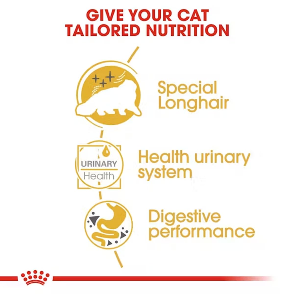 Royal Canin Persian Cat Adult Wet Food, 85 Grams, Pack of 12 Sachet