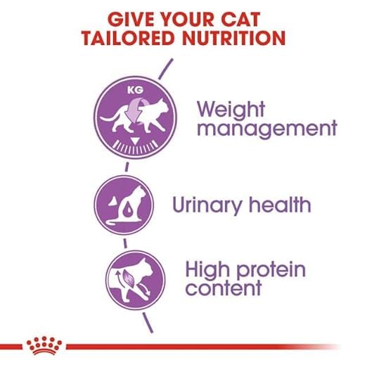 Royal Canin Sterilised 37 Regular Adult Cat Dry Food, 2 KG Pack, Healthy Weight Management