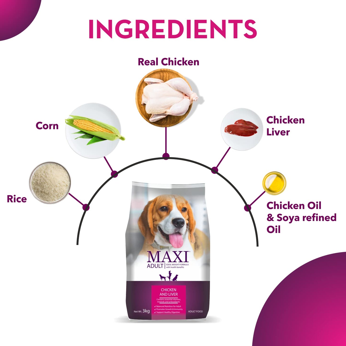 Maxi Adult Dry Dog Food, 20 kg Pack, Chicken and Liver Flavour, Promotes Growth