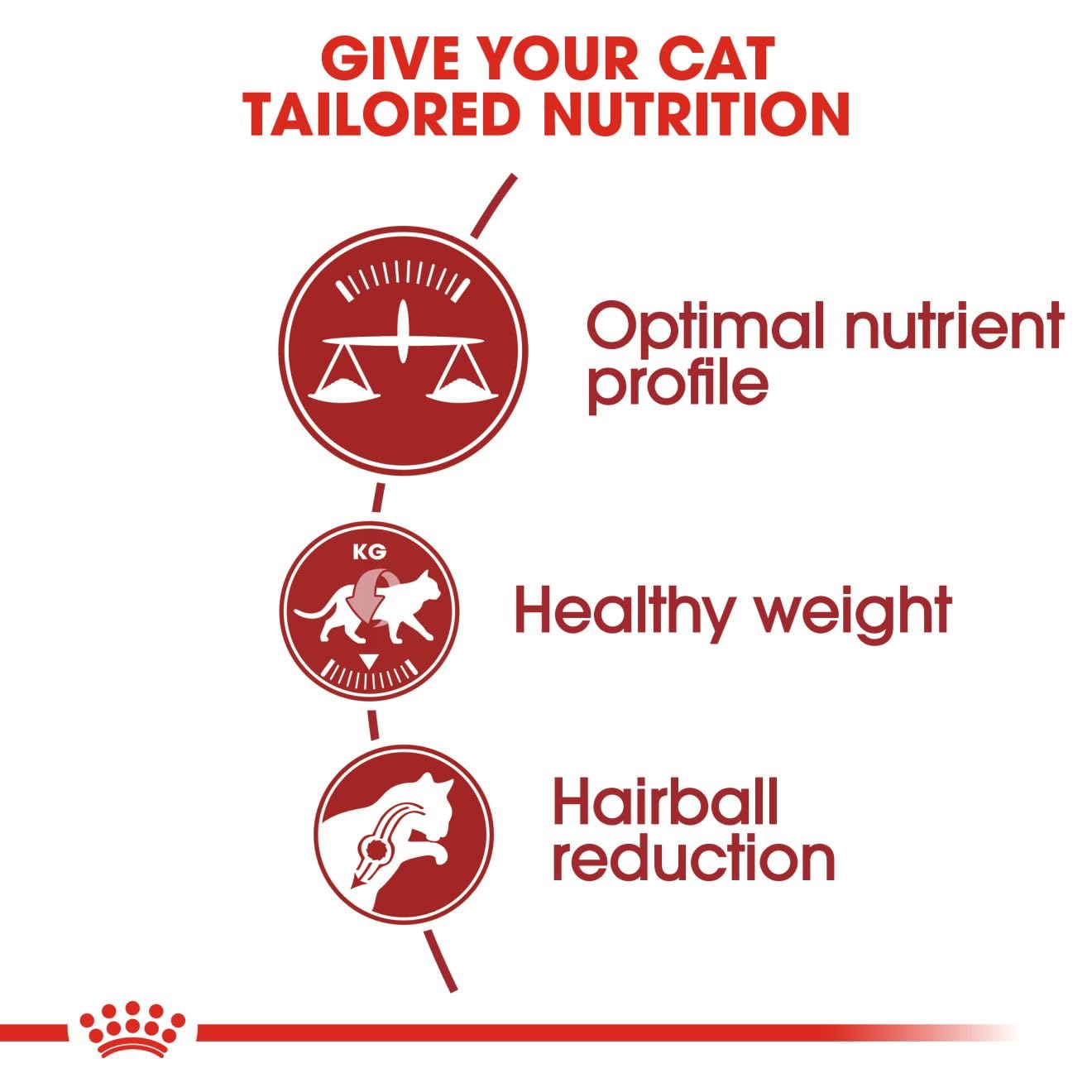 Royal Canin Fit 32 Adult Cat Dry Food, 1 KG Pack, Optimum Nutrient Profile