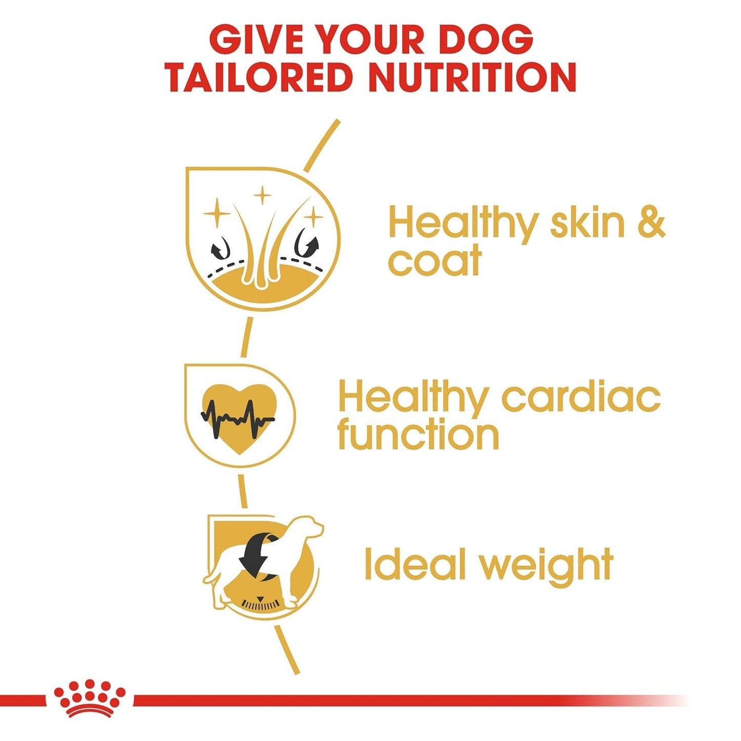 Royal Canin Golden Retriever Adult Dog Food, 3 KG Pack, Healthy Skin & Coat