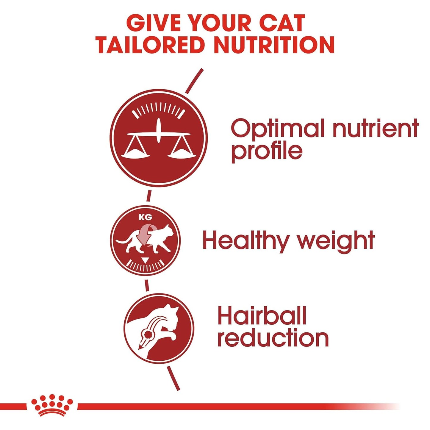 Royal Canin Fit 32 Adult Cat Dry Food, 10 KG Pack, Optimum Nutrient Profile