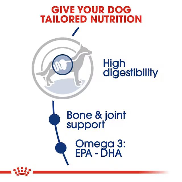 Royal Canin Maxi Adult Dog Food, 2.5 KG,  Dry Food, Supports Digestive Health