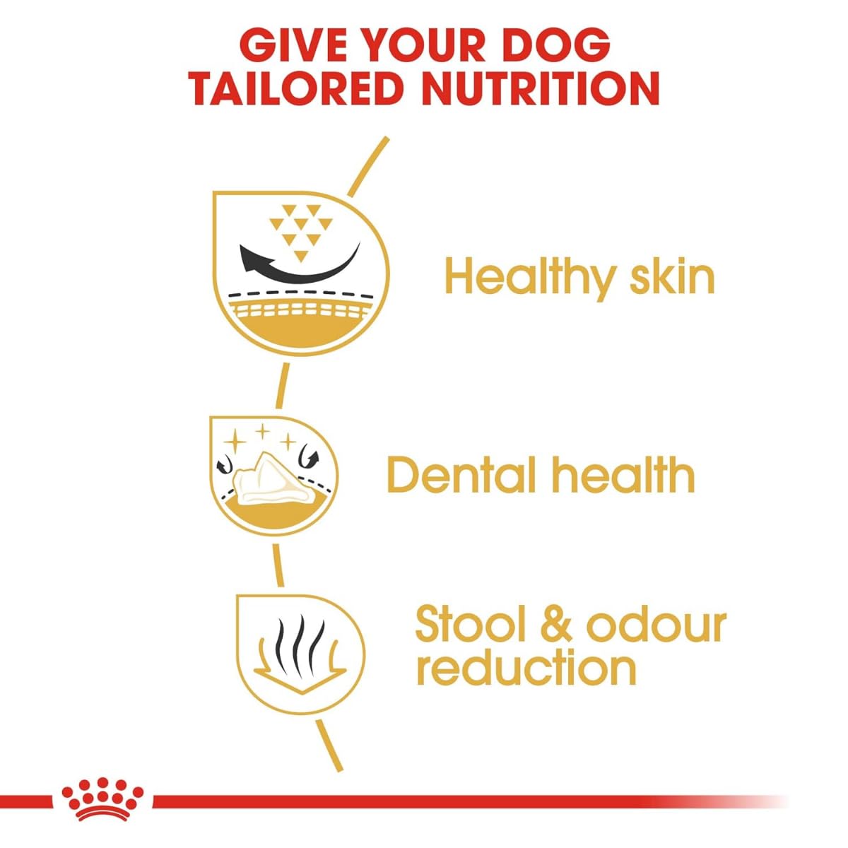 Royal Canin Shih TZU Adult Dog Dry Food, 3 KG Pack, Supports Healthy Skin & Coat