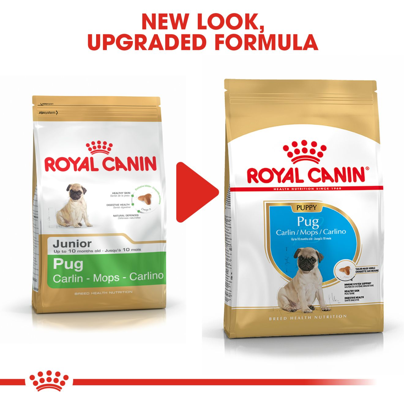 Royal Canin, Pug Puppy, 1.5 KG, Dry Food