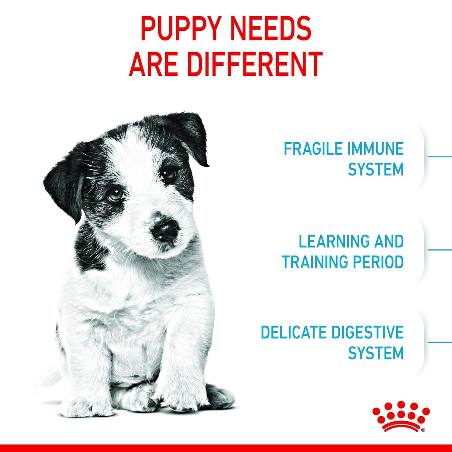 Royal Canin, Mini Puppy Food, Dry Food, 800 Gm, Supports Immune System