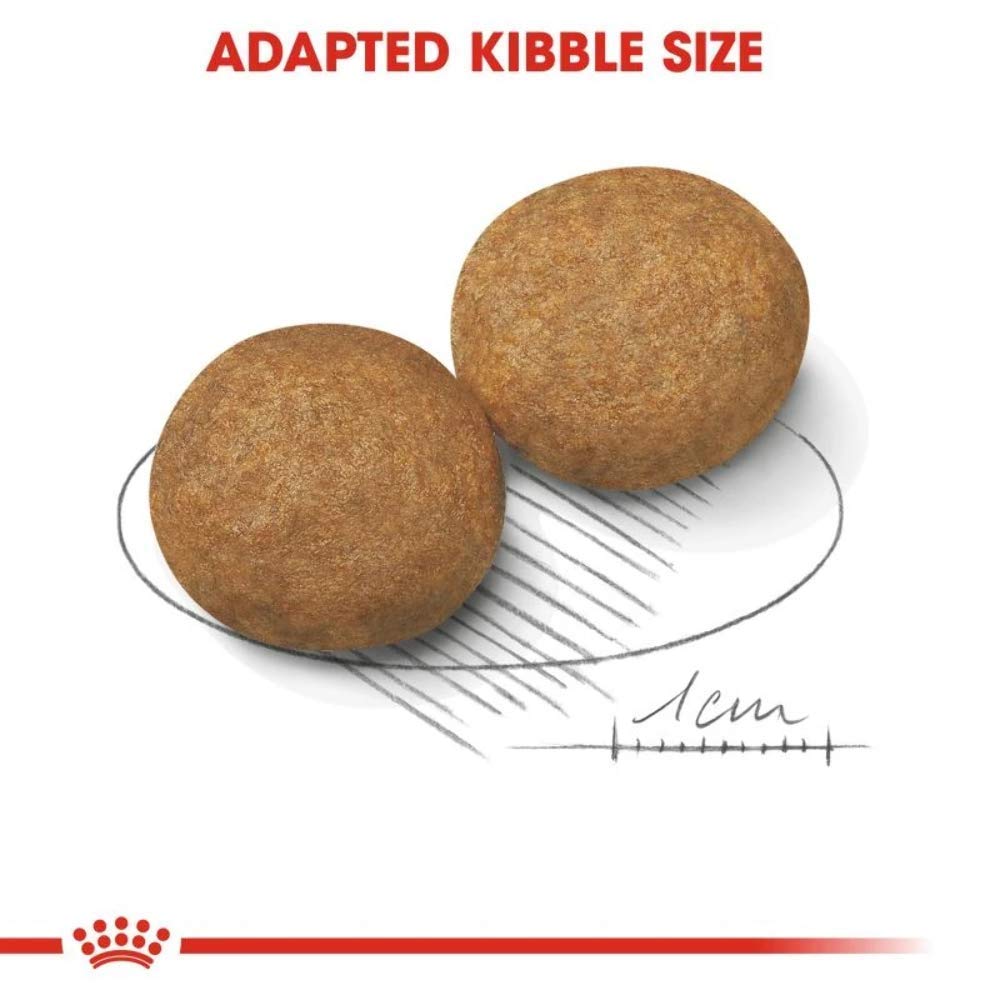 Royal Canin, Medium Adult Dog Food, 10 KG, Dry Food, Provides Muscle Mass