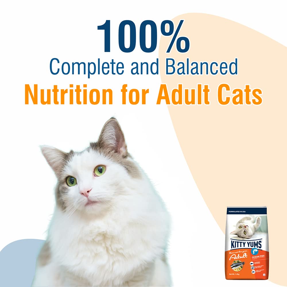 Kitty YUMS Adult (+1 Year) Dry Cat Food, 3 KG Pack, Ocean Fish Flavour