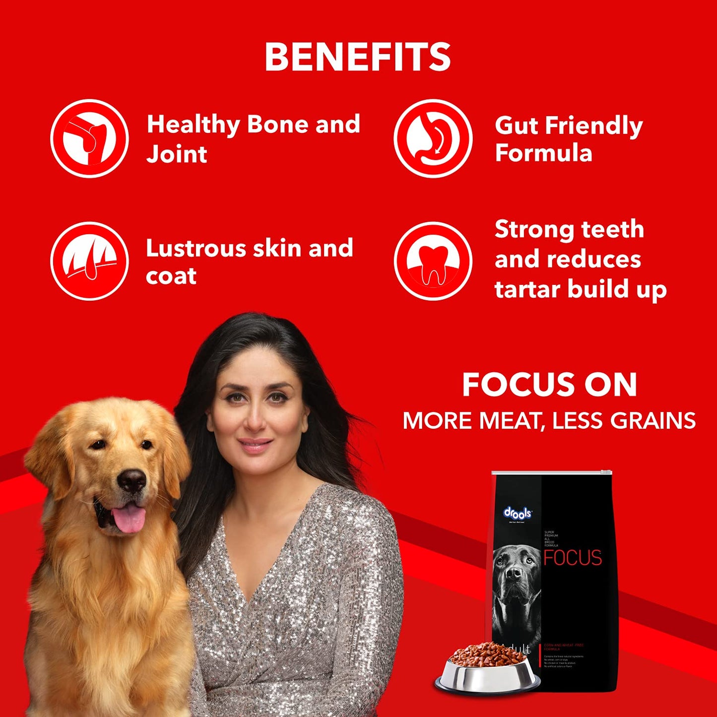 Drools Focus Adult Super Premium Dry Dog Food, 12 KG Pack, Chicken Flavour