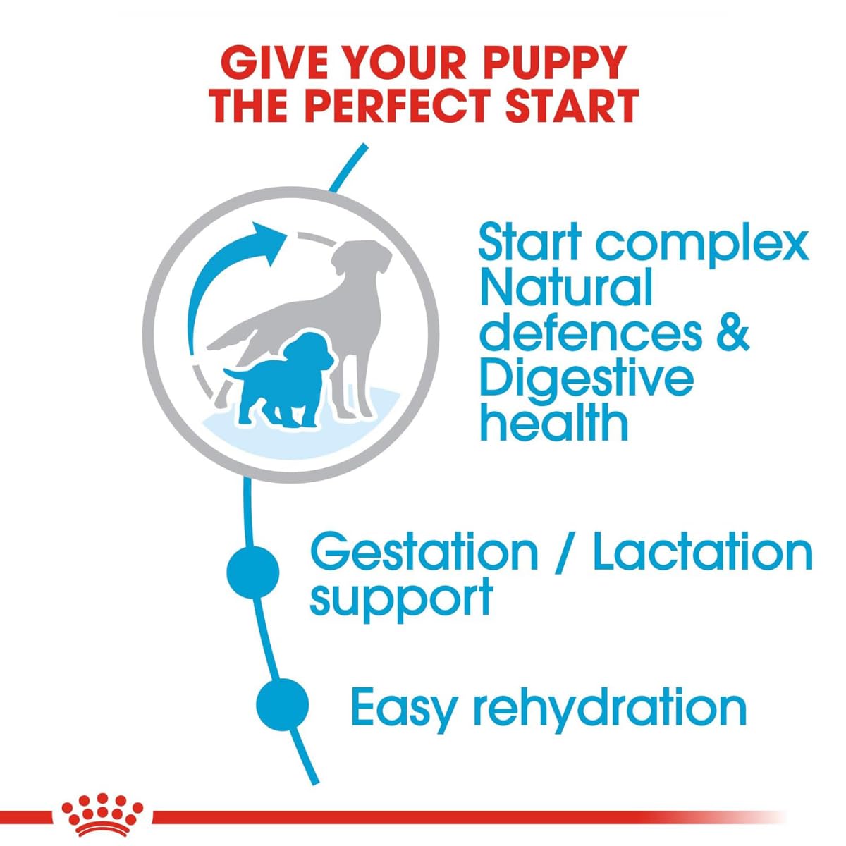 Royal Canin Medium Starter, Mother & Baby dog Food, 4 Kg, Dry Food