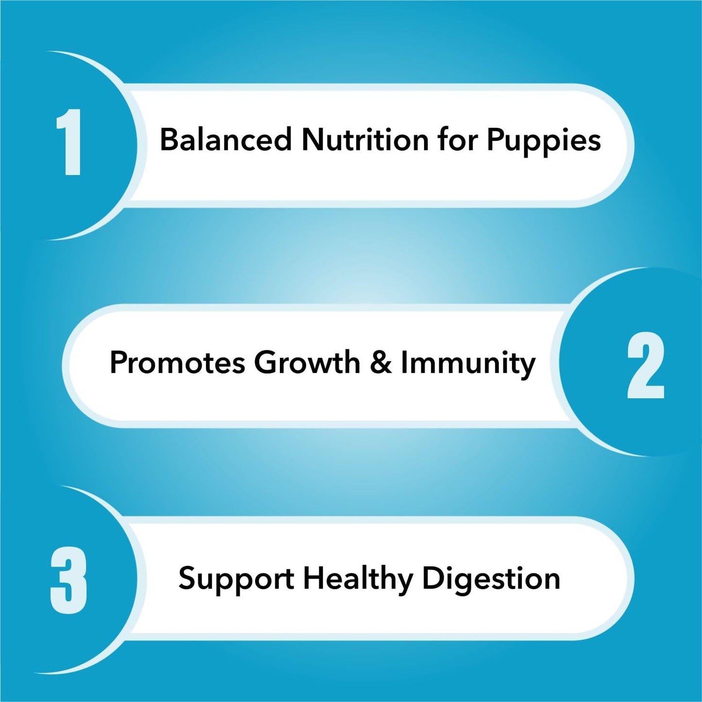 Purepet Puppy Chicken & Vegetable Flavour Dry Dog Food, 1 KG Pack