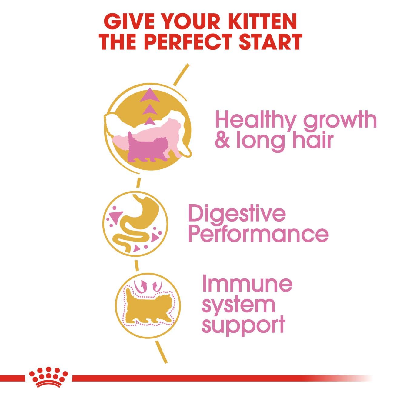 Royal Canin Persian Kitten Food, 1 Kg, Dry Food, Supports Long Hair