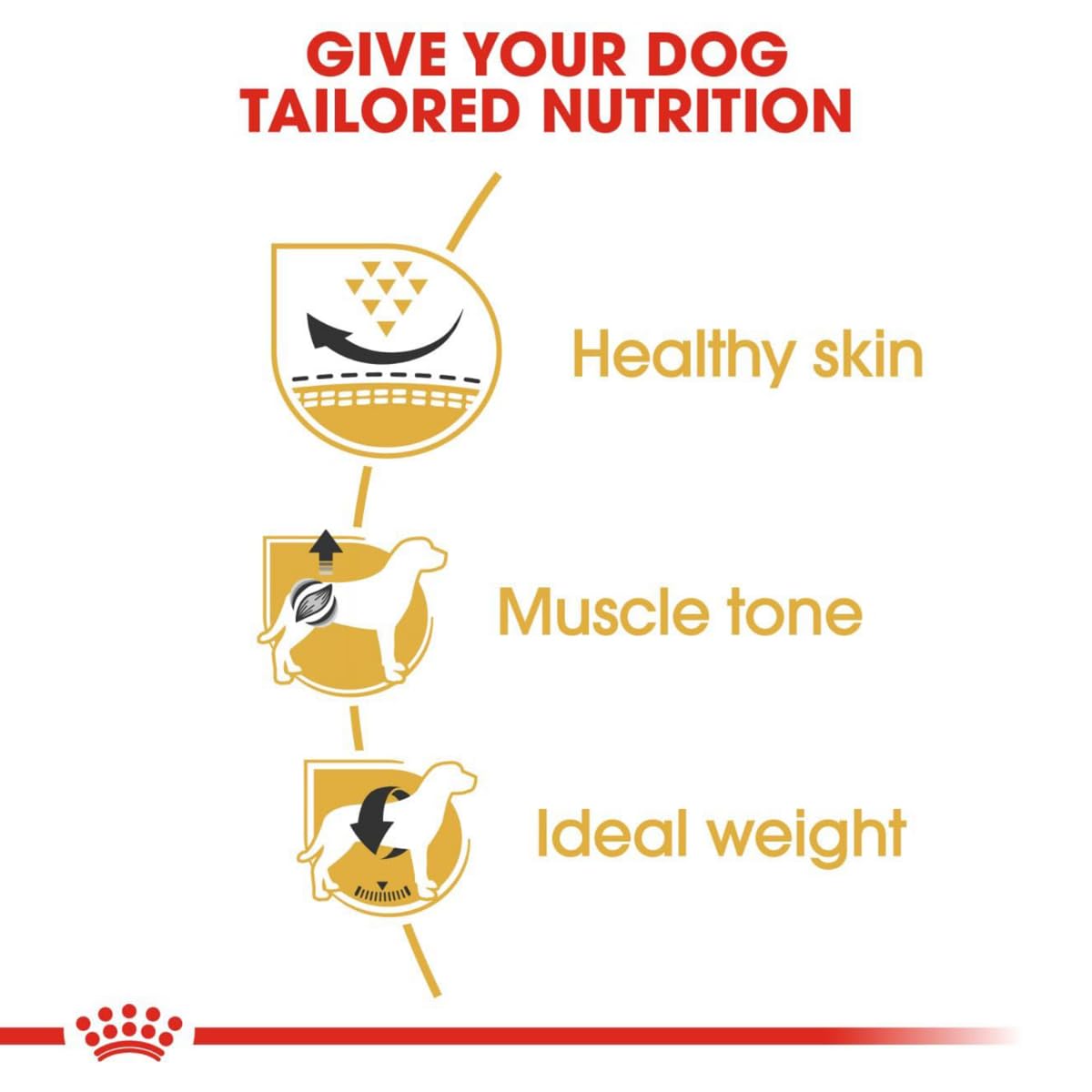 Royal Canin Pug Adult Dog Food, 3 Kg, Dry Food, Helps to Tone Muscles