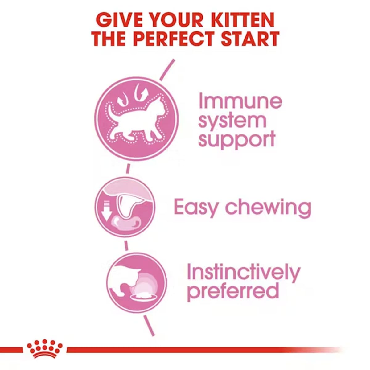 Royal Canin Instinctive Adult Cat Jelly Food, 85 Grams, Pack of 12 Sachet